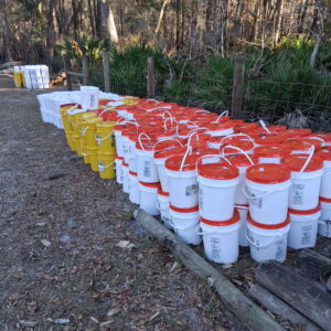 Commercial Bait Sale - Cow Hide - 5 Gallon Bucket ~ 35lbs